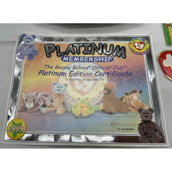 Ty Beanie Babies Silver Official Club Bag carrying Case 9”x 10” zip up lunchbox - Picture 4 of 16